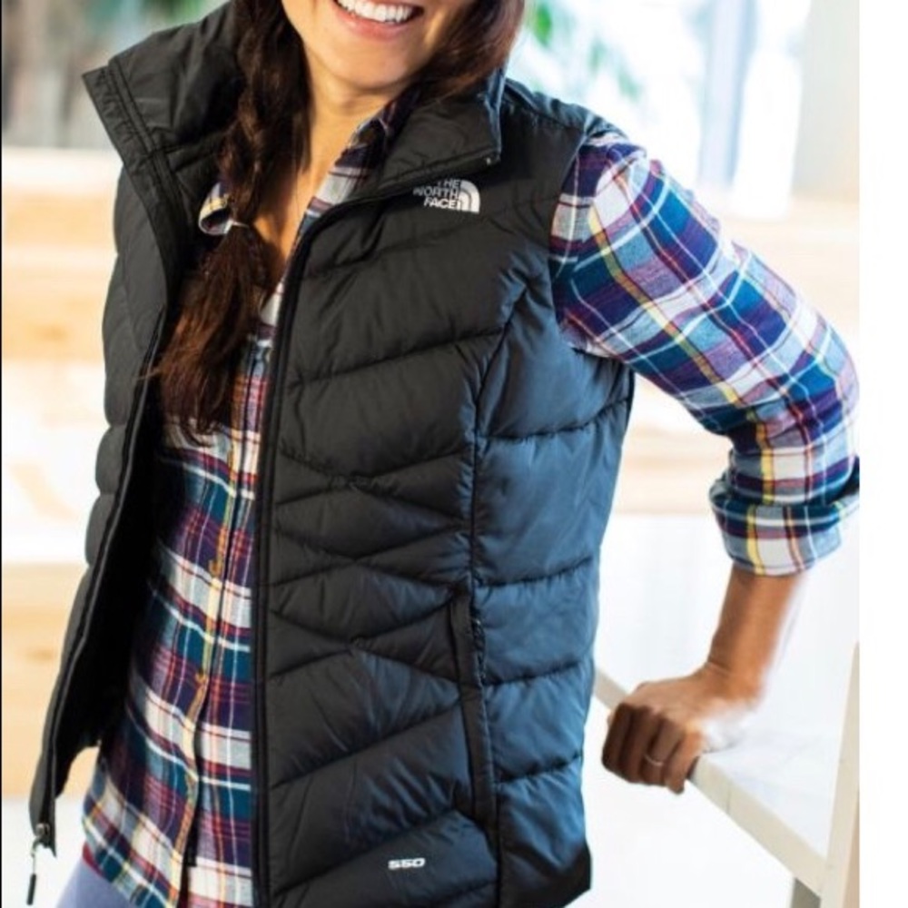 The north face 650 vest